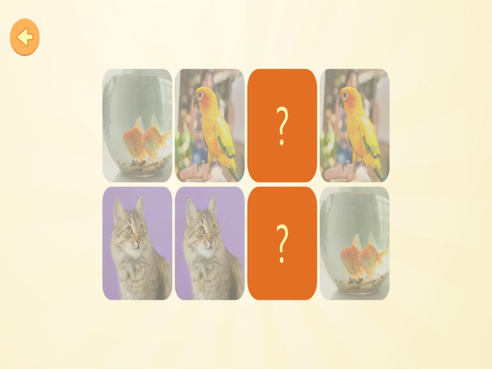 Hayvanları Öğreniyorum 4 Yaş