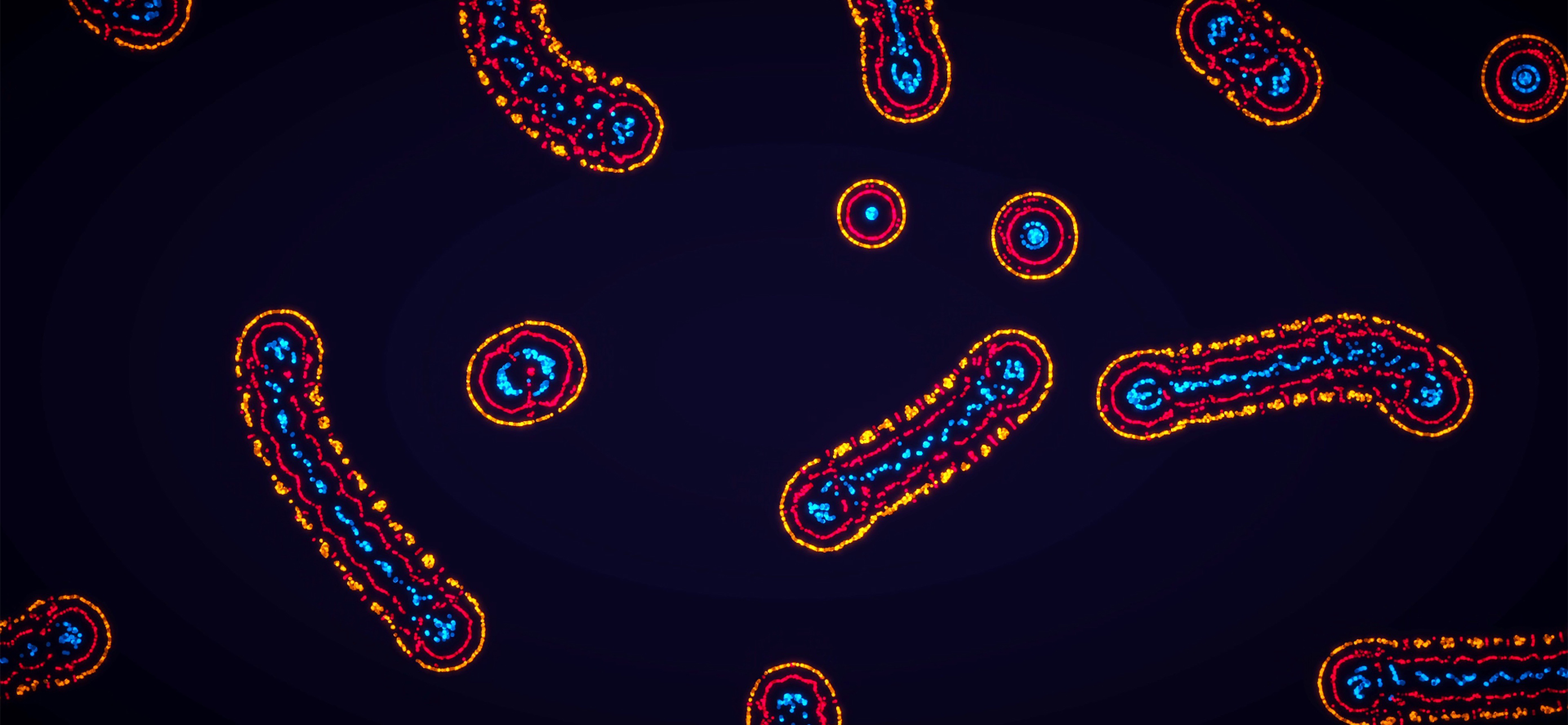 Parametric Creature: Lab