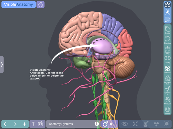 Visible Anatomyのおすすめ画像9