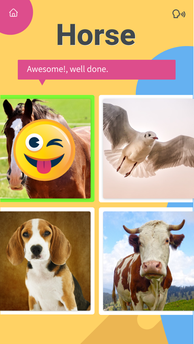 300 English Words Screenshot