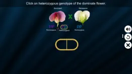 test cross: pea flower problems & solutions and troubleshooting guide - 4