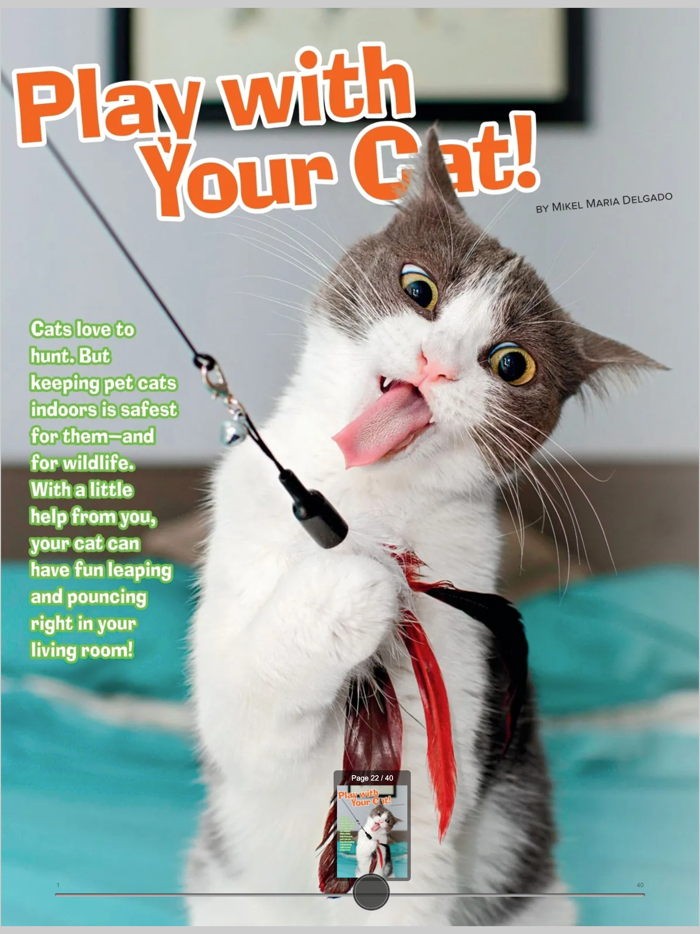 Ranger Rick Magazine