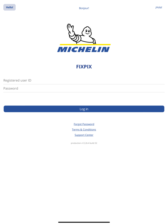 Michelin FIXPIX Plus