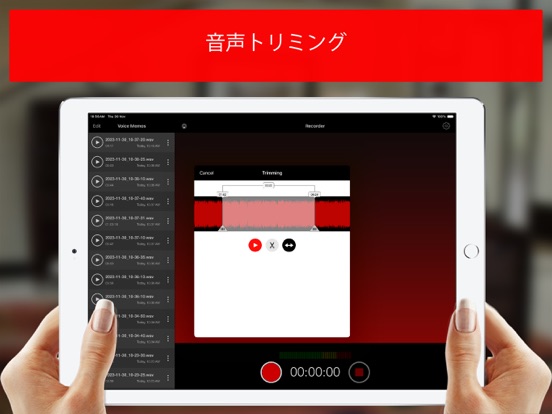 Voice Recorder Lite: HDを録画のおすすめ画像3