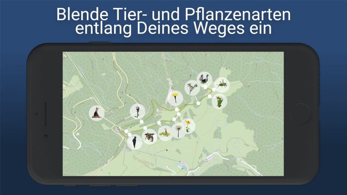 Schauinsland Barrierefrei