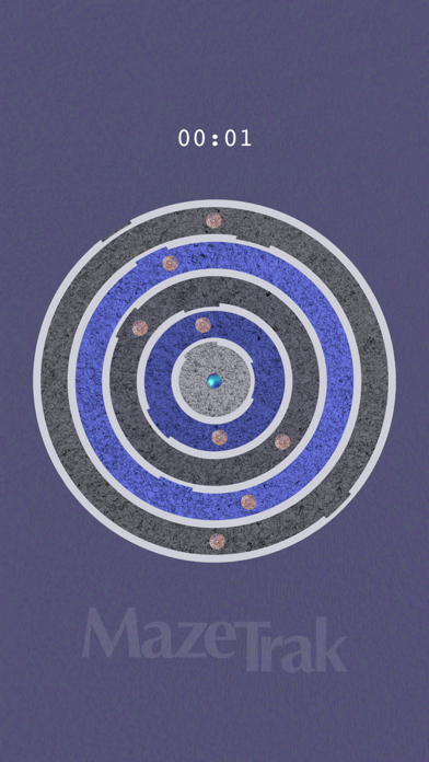 MazeTrak Screenshot
