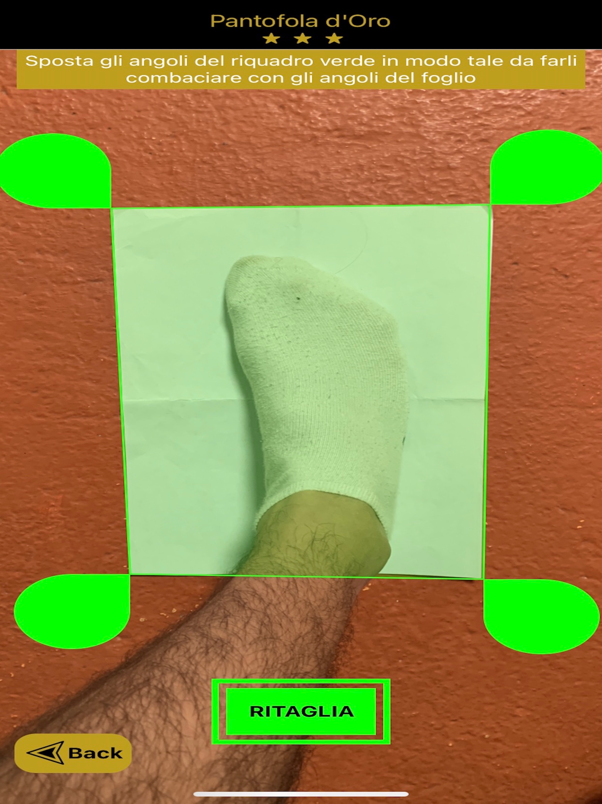 Size Finder
