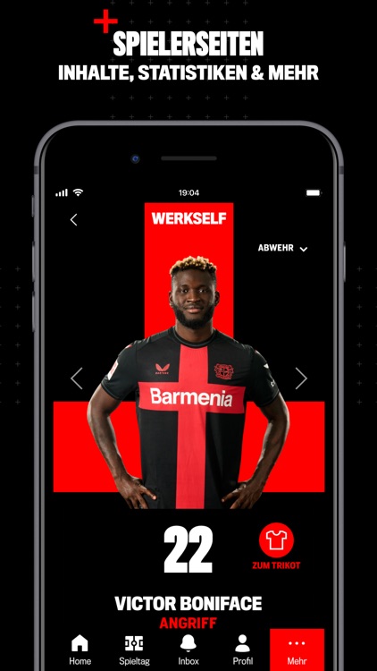 Bayer 04 Leverkusen screenshot-9