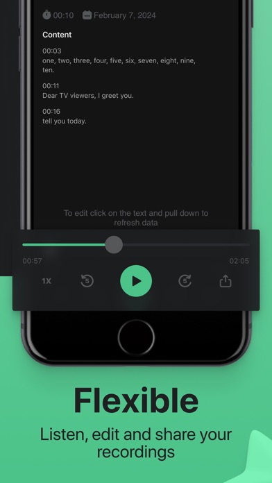 Voice & Audio Transcription Screenshot