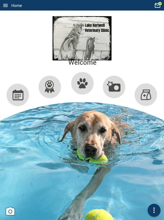 Lake Hartwell Vet Clinic