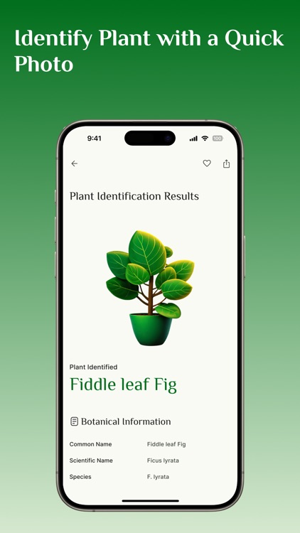 Plant Identifier, Plant Care