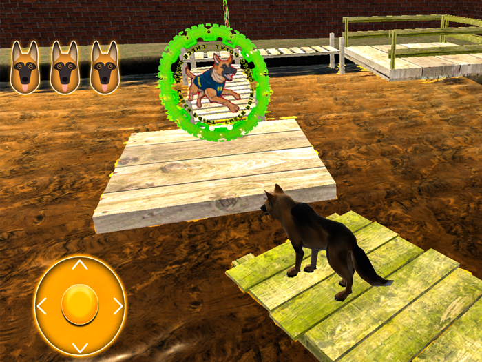 NY City K9 Police Dog Survival