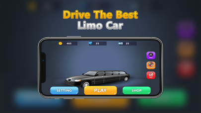 Extreme Limo Parking Race Screenshot