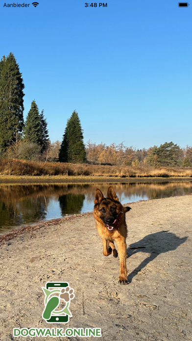 Dogwalk.online Screenshot