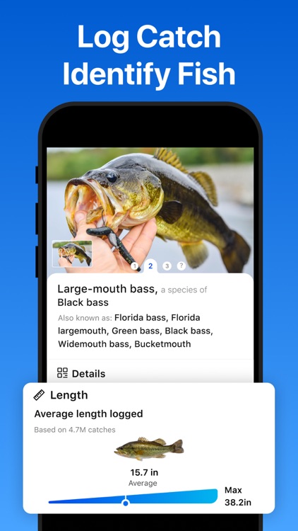 Fishing Pal: Points & Forecast