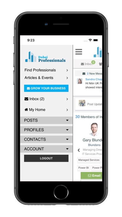 DubaiProfessionals Screenshot