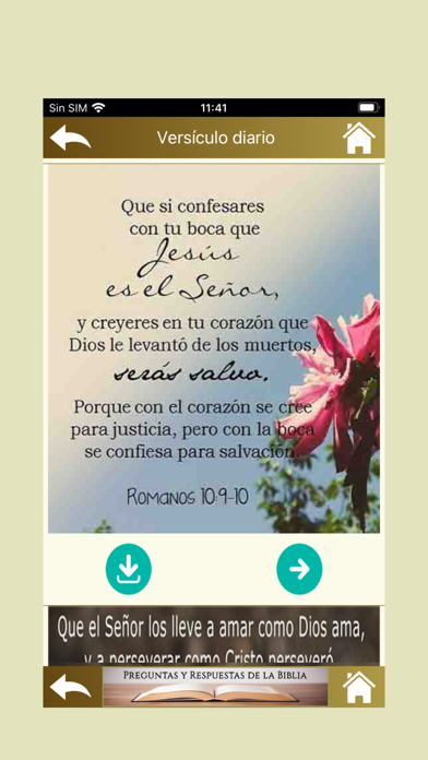 Preguntas y Respuestas Biblia Screenshot