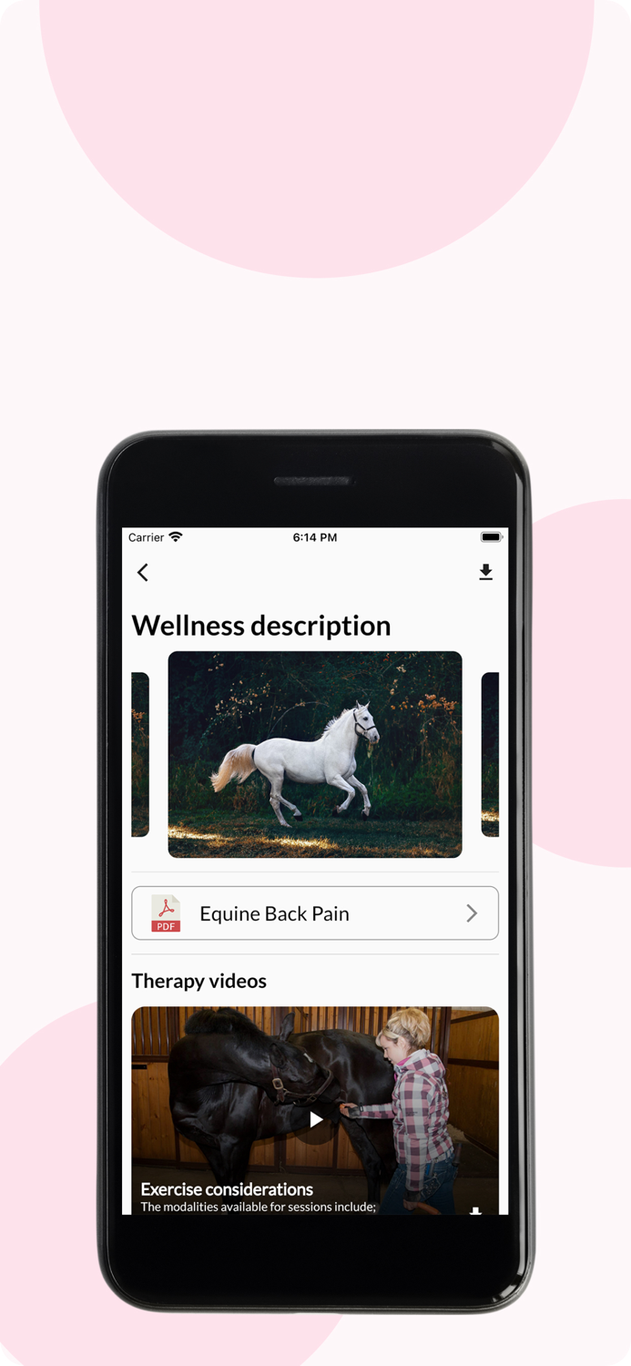 Inhand Equine Therapy