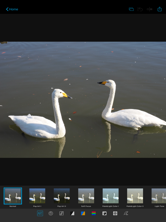 OM Image Share iPad screenshot 4 - Photo & Video app