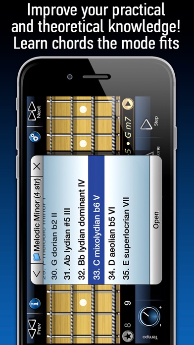 Screenshot #2 pour Bass Modes Symmetry School