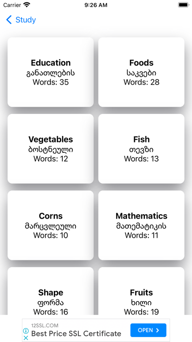 Smart Georgian Dictionary Screenshot