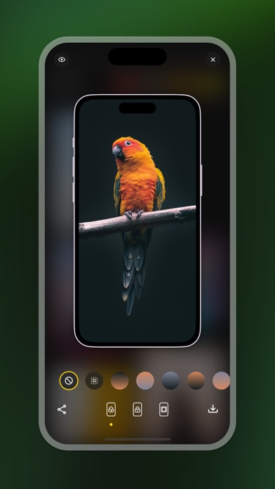PureWall - Custom wallpaper Screenshot