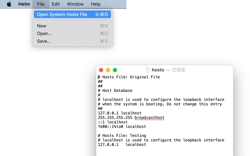 Screenshot #2 pour Helm - Hosts file manager