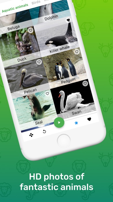 Guess Animal Sounds Screenshot