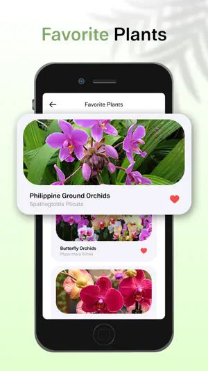 PlantFind : Plant Identifier screenshot 3