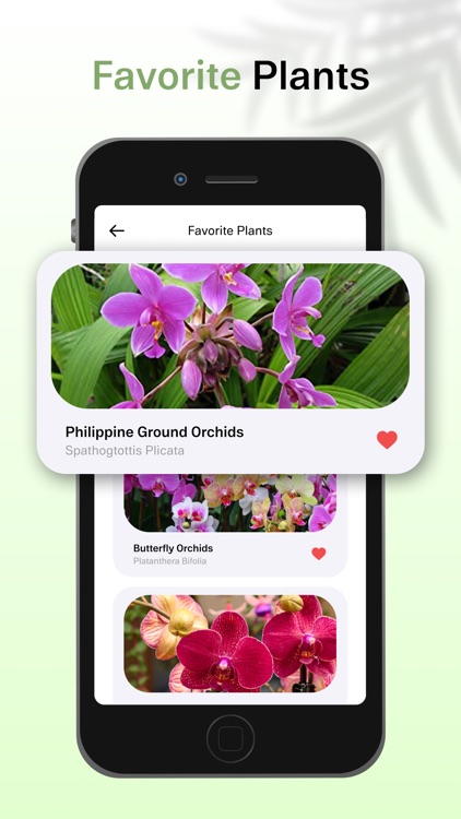 PlantFind : Plant Identifier