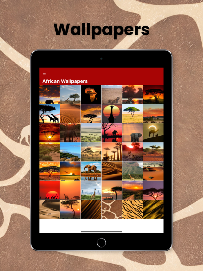 African Proverbs by Topic