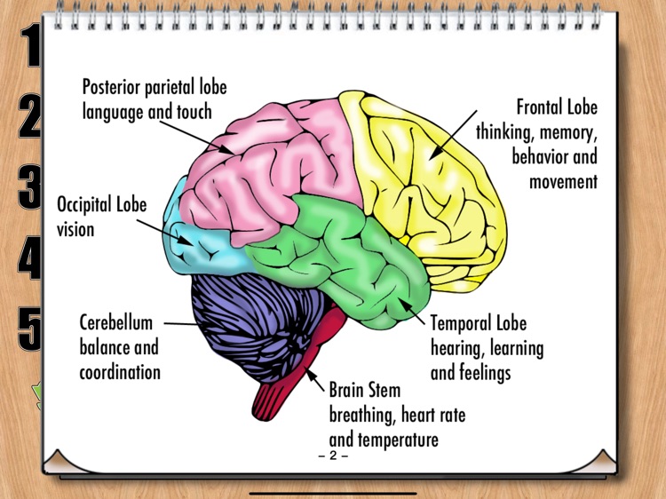 Spatial Problem Solving screenshot-4