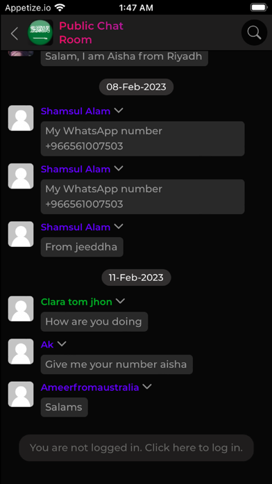 Saudi Chat Room Screenshot