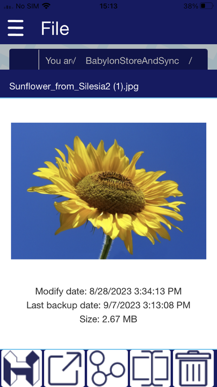 Babylon StoreandSync