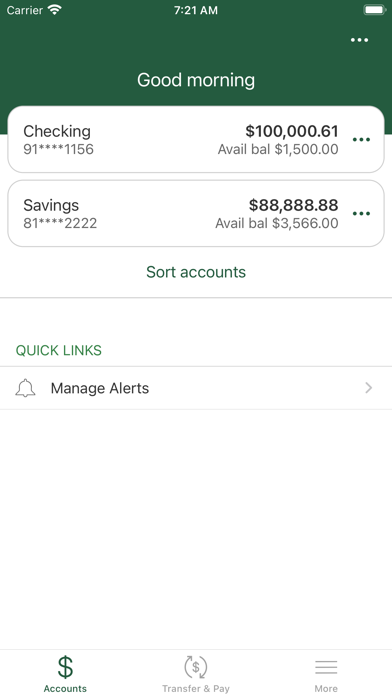Sylvania Area FCU Screenshot
