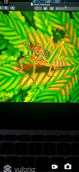 Game screenshot Oaxaquia apk