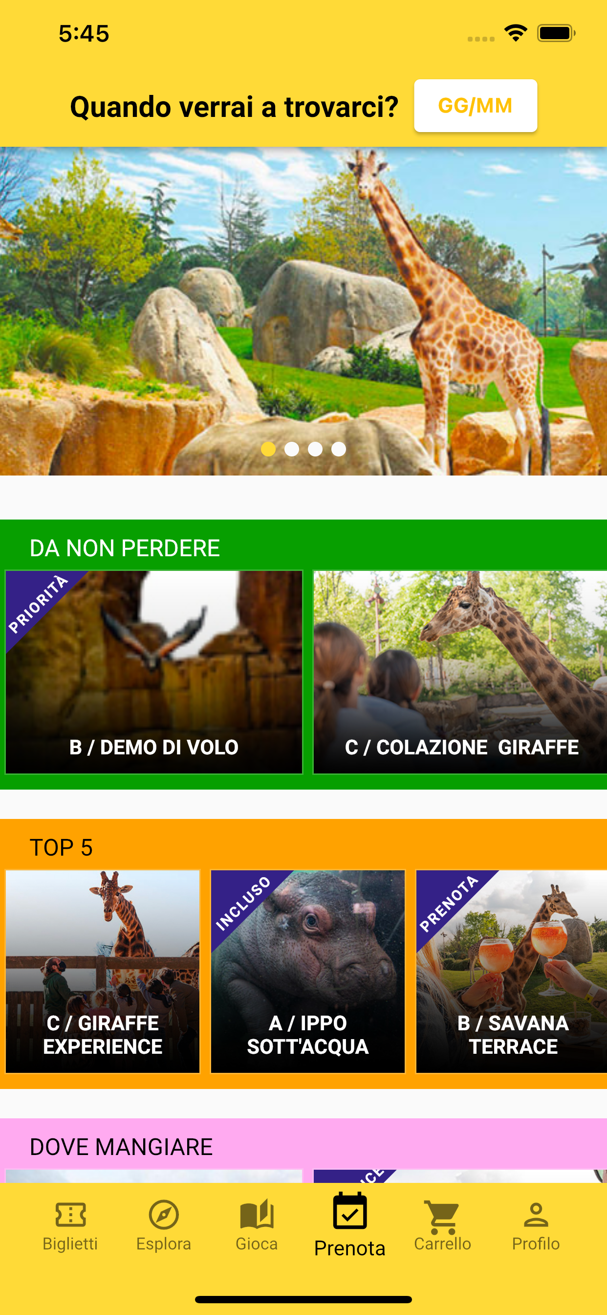 Zoom Torino