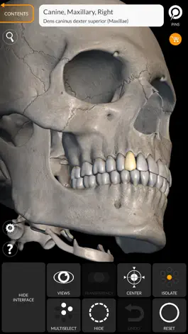 Game screenshot Skeleton 3D Anatomy mod apk