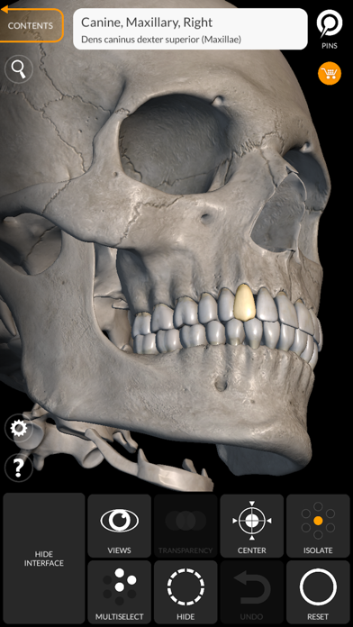 Skeleton 3D Anatomy Screenshot