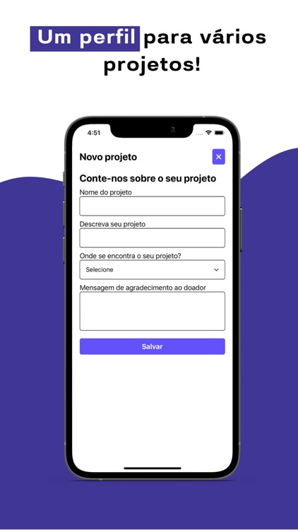 Pallua - Captação de Recursos screenshot-3