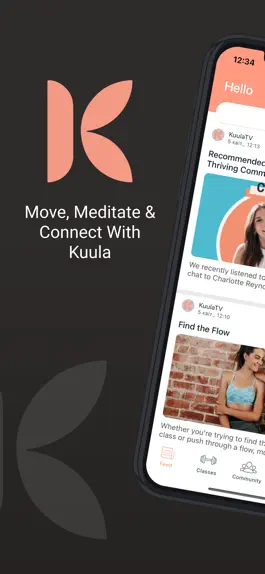 Game screenshot Kuula mod apk