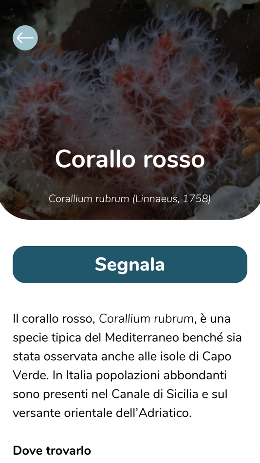 #2. Life Sea.Net (iOS) By: Divulgando Srl