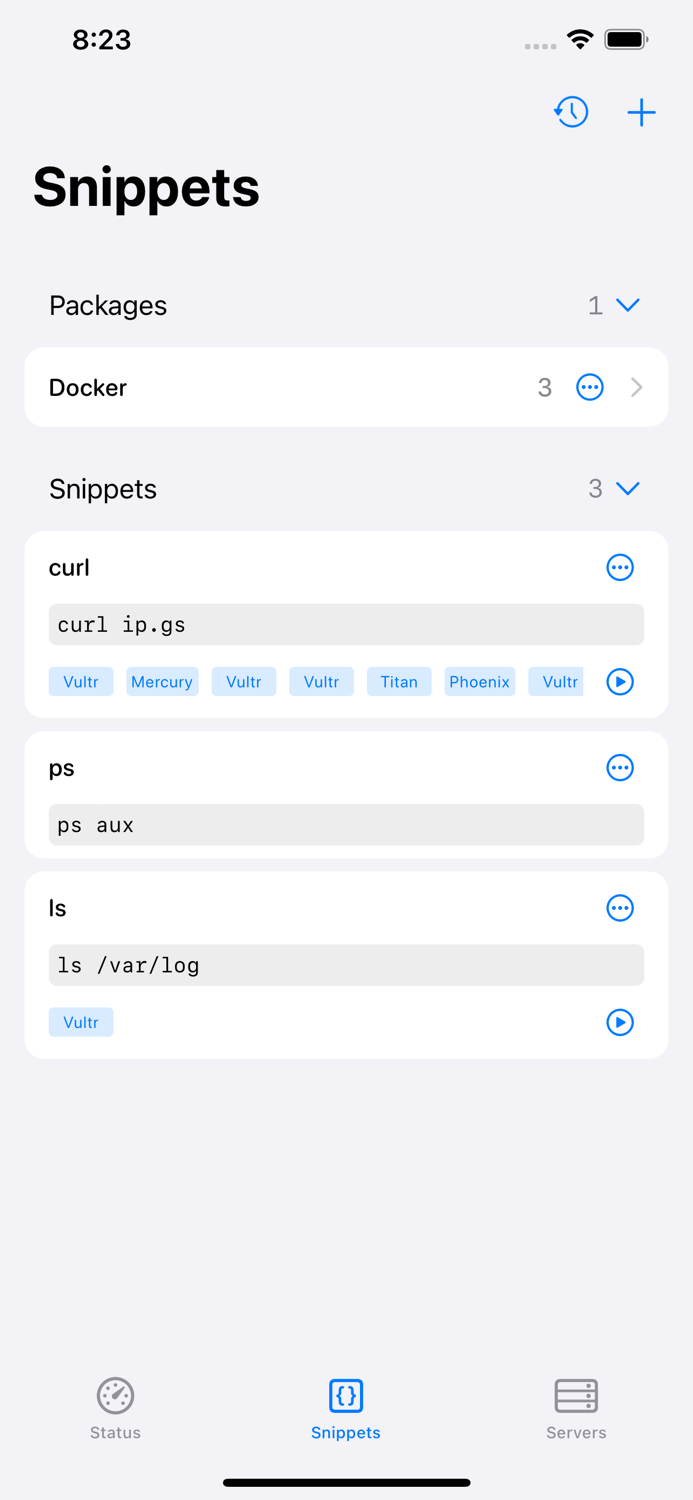 ServerKit - SSH Terminal