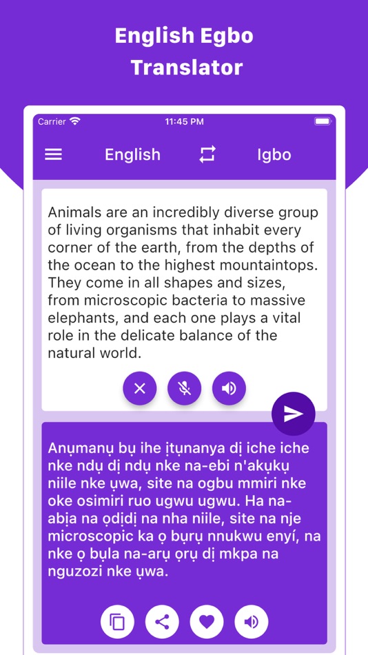 #1. English Egbo Translator (iOS) 由: Ajay Gorasiya