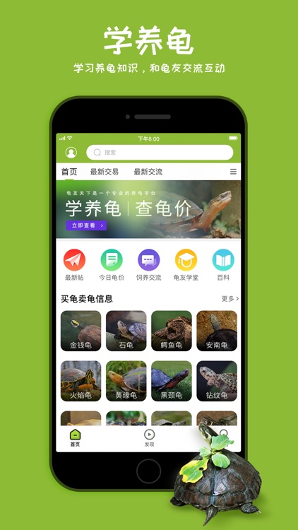 龟友天下-养龟交流社区