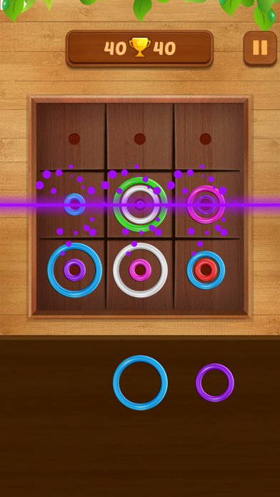 Color & Ring - Puzzle Game Screenshot