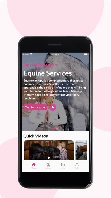 Inhand Equine Therapy Screenshot