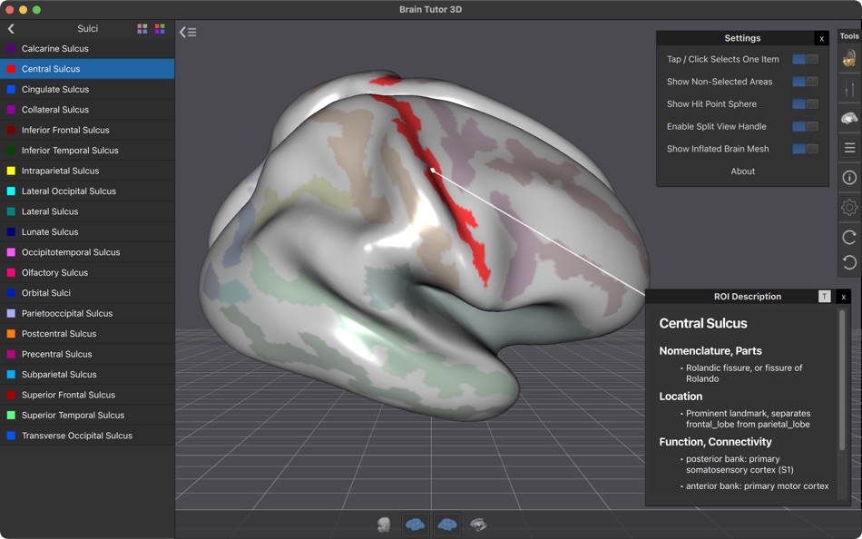 #3. Brain Tutor (macOS) 由: Rainer Goebel