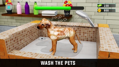 Virtual Pet Adoption Simulator Screenshot
