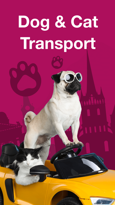 Pcab: Pet Taxi Geneva Screenshot